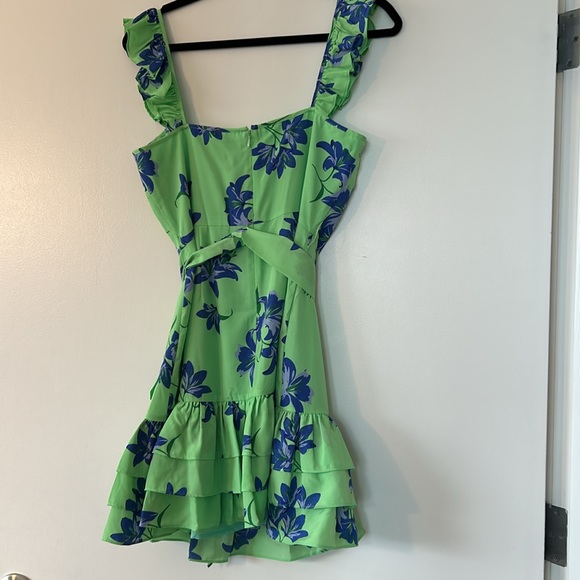 Likely Charlotte Mini Dress in Pistachio, 6, NWOT - Picture 6 of 7